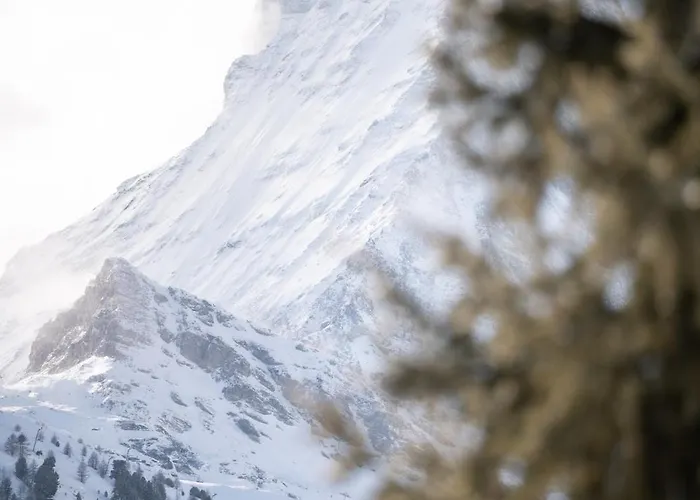 Sonnmatten Boutique & Hotel Zermatt